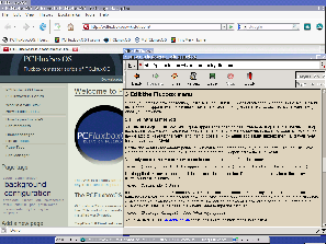 Netscape on PCFluxboxOS